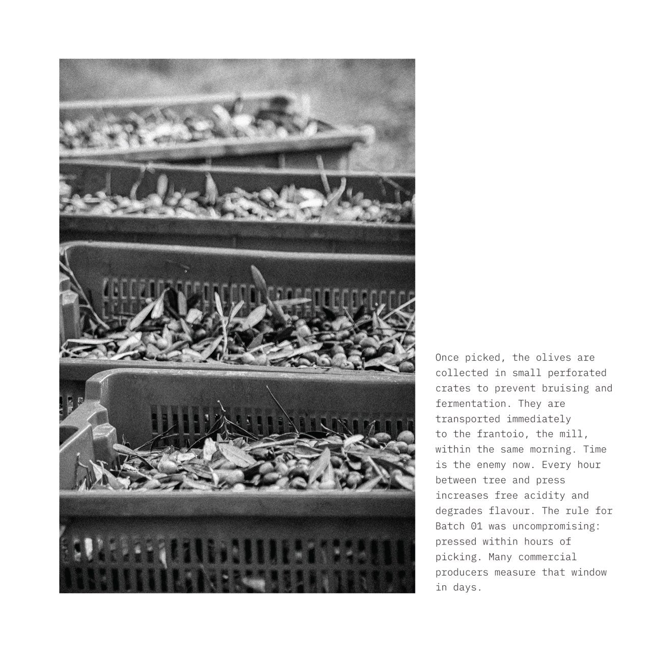 Batch 01 book, page 15
