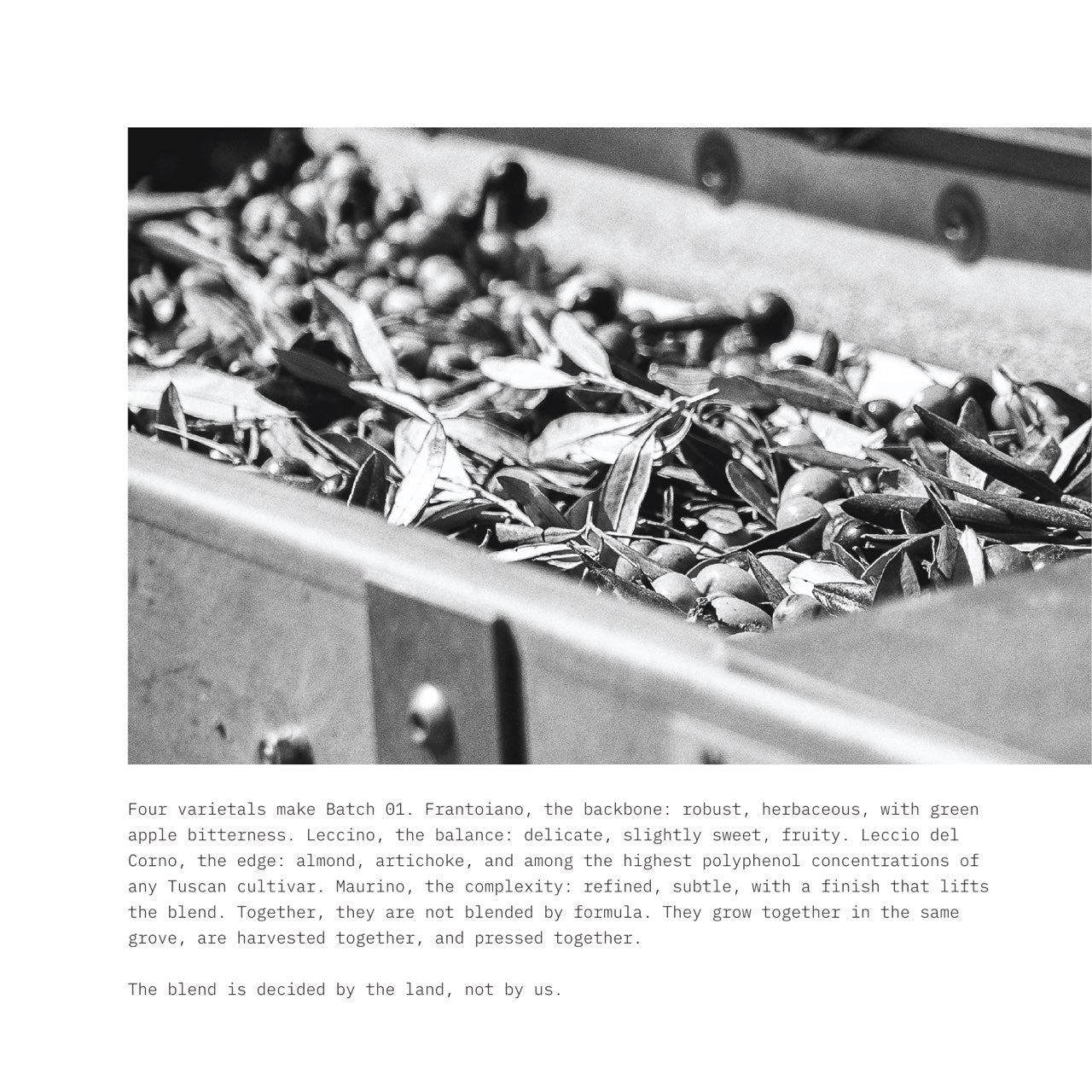 Batch 01 book, page 16