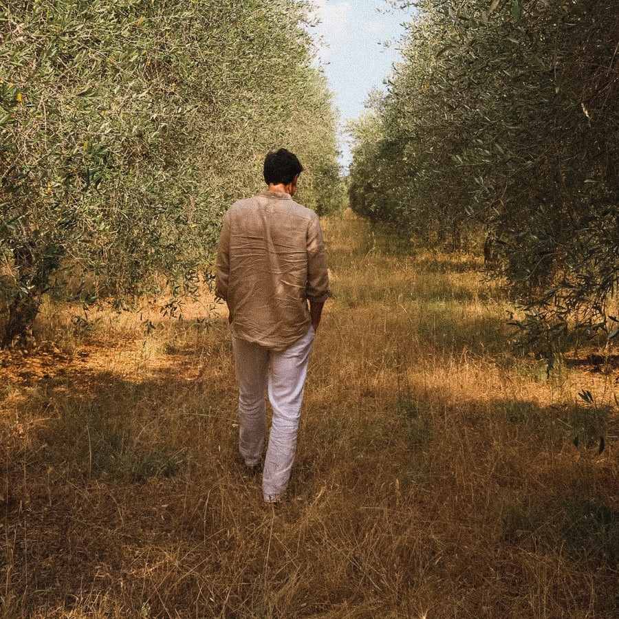 Marcello walking the rows of the grove