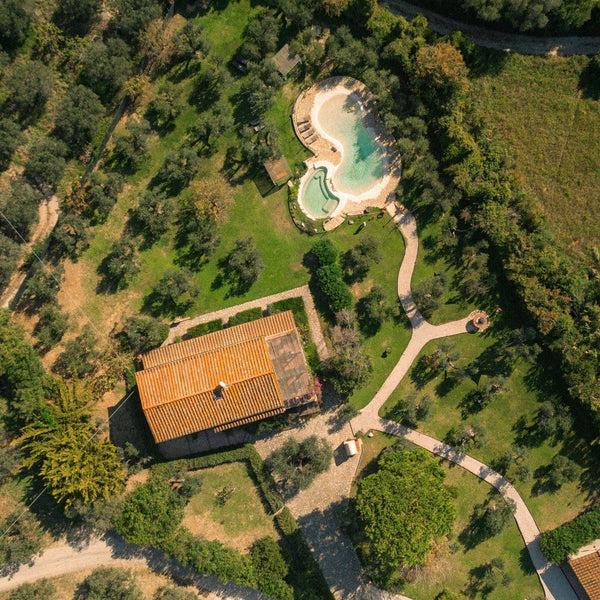 The farm from above: farmhouse, pool and olive groves in the Maremma