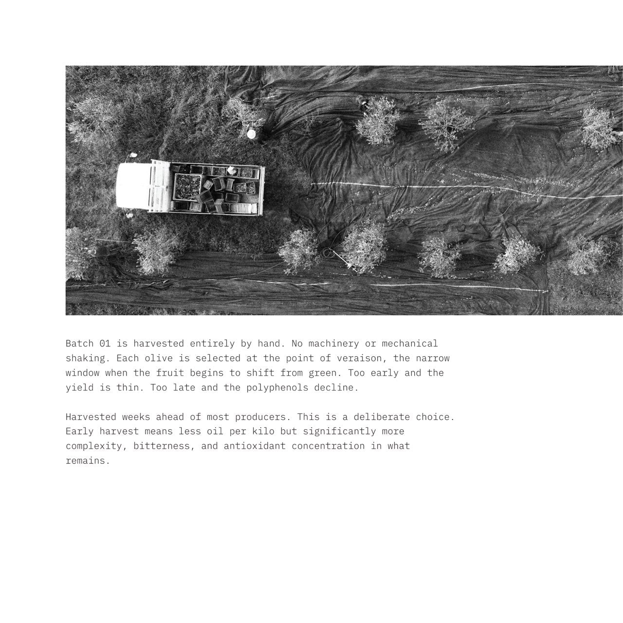 Batch 01 book, page 8