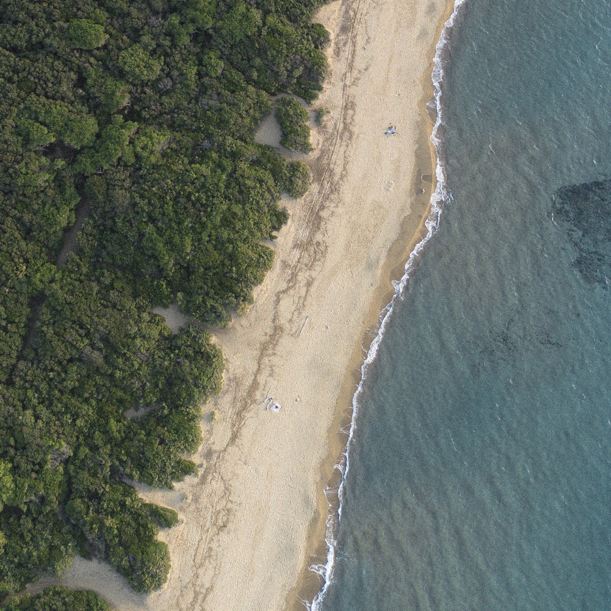 Maremma coastline from above